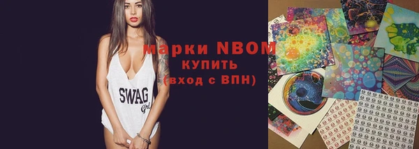 мдпв Белокуриха