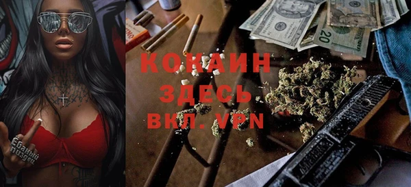 мдпв Белокуриха