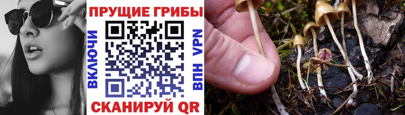 Псилоцибиновые грибы ЛСД Облучье