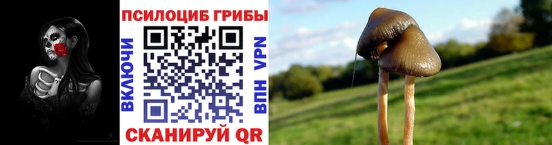 Галлюциногенные грибы Cubensis  Облучье 